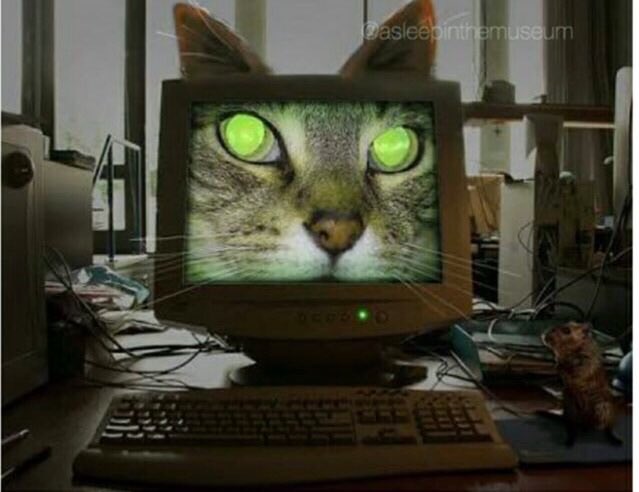 scribdkitty's tweet photo. This PC is infected with Meoware 😾 https://t.co/PlzrnedZIg