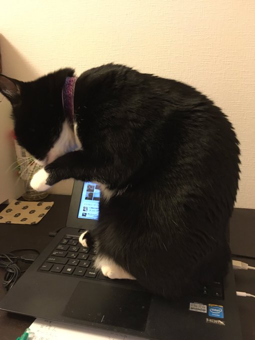 Twitterで画像を見る