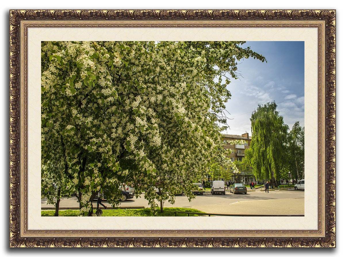 Володимир ЯЩУК (radywyliw) Twitter