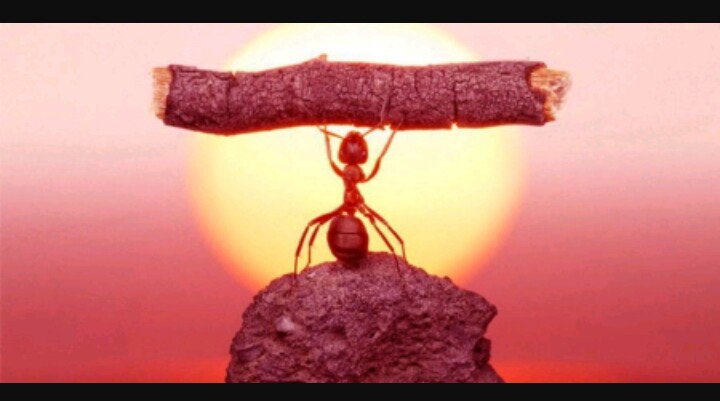 mai_zb's tweet photo. "PUEDES más de lo q te imaginas"
"VALES más de lo q piensas"
Fuerza y motivación aveces flaquean,xro hay q seguir trás el objetivo
#EIR2018 https://t.co/MdRgvRPasI
