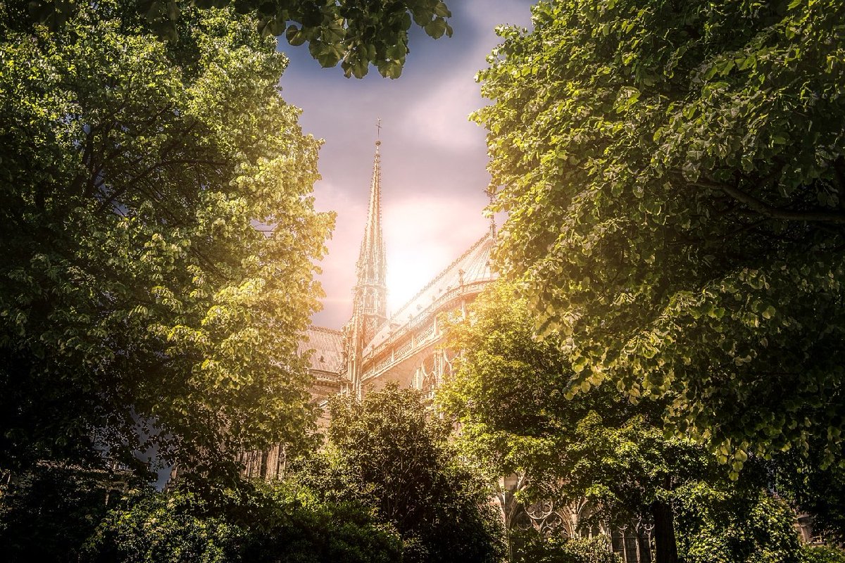 Troper Paris tweet media