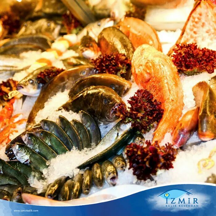 IzmirBalikRest's tweet photo. Mevsimin en taze balıkları Ege'den transfer ustalarımızın maharetli ellerinden çıkıyor, İzmir Balık Restoran'da masanızı lezzetlendiriyor ☺ https://t.co/JtRYQT8iLW