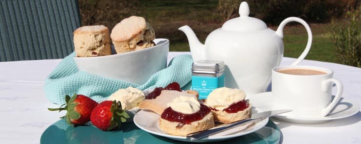trinity_rooms's tweet photo. Cream tea at International Cafe in @trinity_rooms this afternoon - how very British!
1.15 - 3.15 :) https://t.co/sn8gsKyQZa