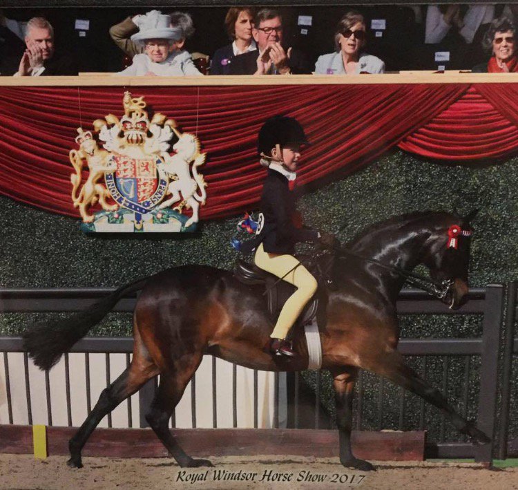 PrinceHenrysGS's tweet photo. Congrats to Mia Donaldson, Yr 7, &amp; Whiteleaze Aurora, who won Show Pony Champion at #RoyalWindsorHorseShow with #QueenElizabethII watching! https://t.co/F7KpTXG66B