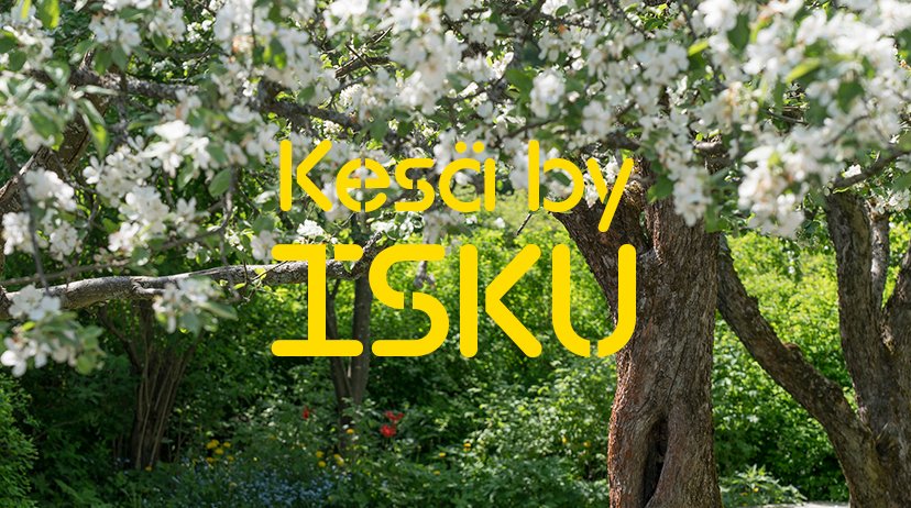 Isku Koti tweet media