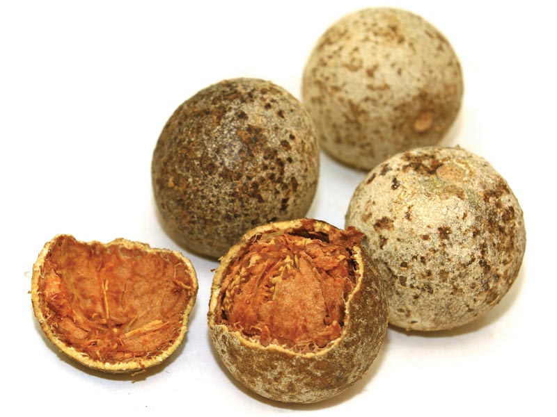 Wood Apple is high on nutrients, vitamins, and organic compounds goo.gl/ZUFro0