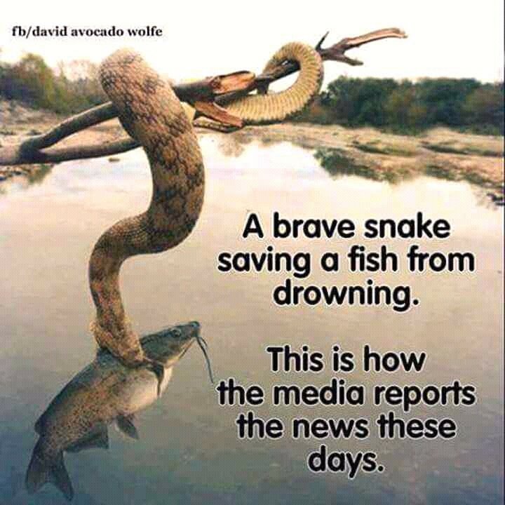 DENNIS WANGA (@denniswanga2) on Twitter photo 