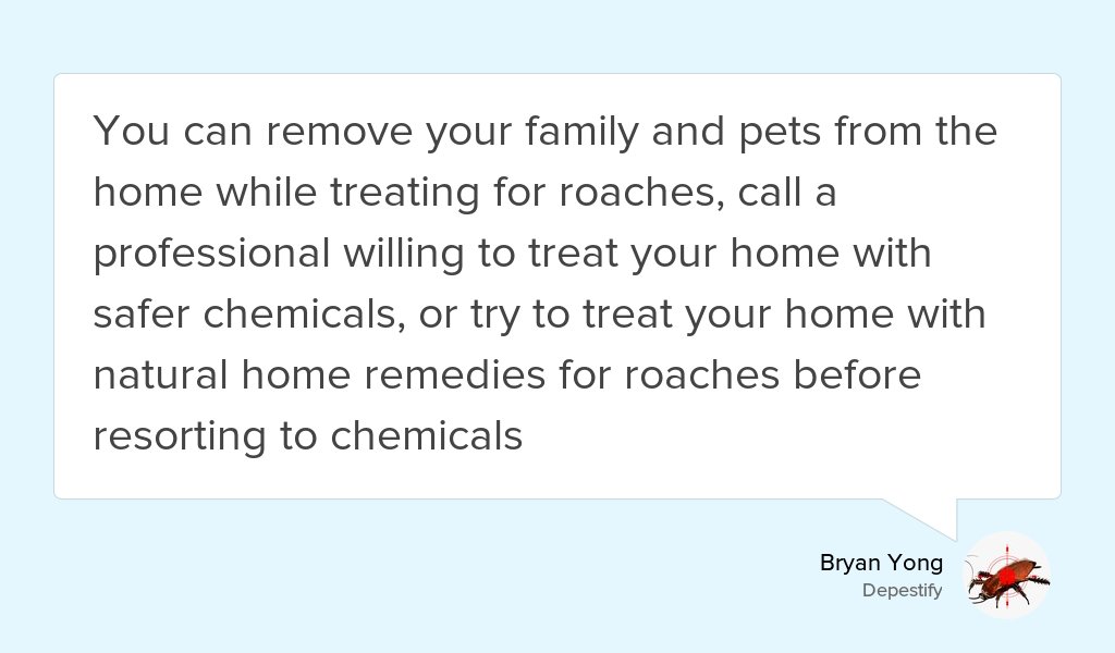 depestify's tweet photo. Home Remedies for Roaches https://t.co/vFZbvdMVuo #Diy #Share #Infographic https://t.co/LQbh5ZFvu4