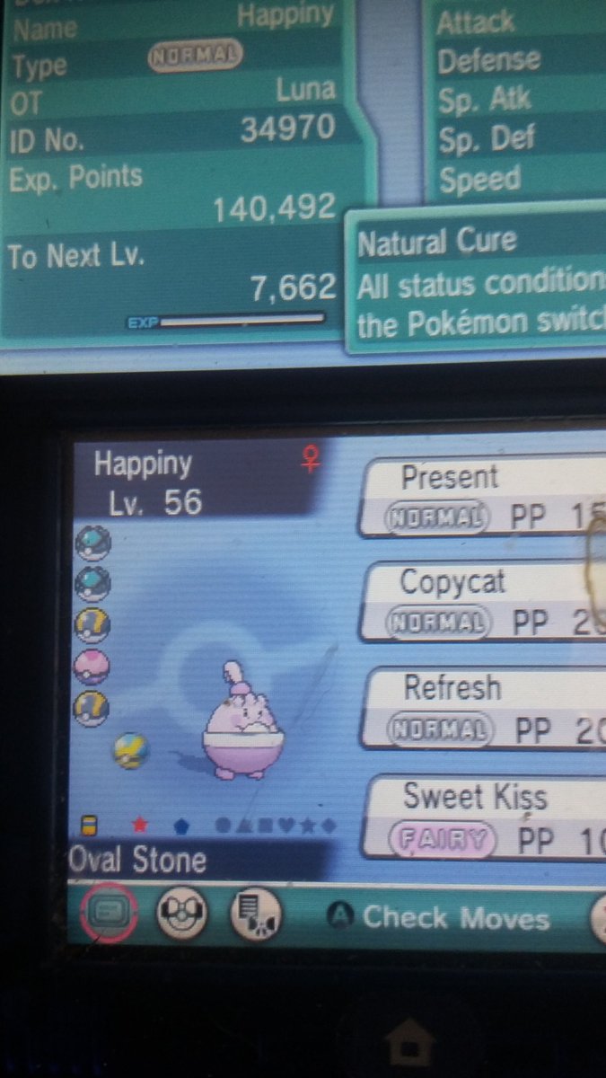 DanmanNefarius's tweet photo. Shiny Happini 🌟 153 dexnavs @StormyRise @PokeTina_ @ssjkoma @MissKindra84 @LunalasShadow @Slayerslays666 @Zug1zland https://t.co/V2F90q5fnW