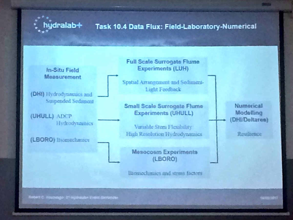 Flexible vegetation, sediment &   coastal defence from @DynamicCoast @GEESatHull with @lborogeog plant biomechanics @hydralabplus