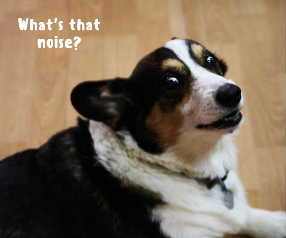 Don't suffer through HVAC problems. Call us today for a tuneup! bit.ly/2iOb3tA