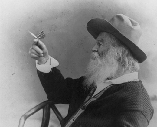 Today in History: poet, journalist &amp; American original Walt Whitman born, 1819 #otd #tih loc.gov/item/today-in-…