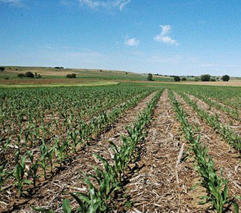 Cash Rent Prices Decline For Fourth Consecutive Year
Read more..
farms.com/news/cash-rent…
