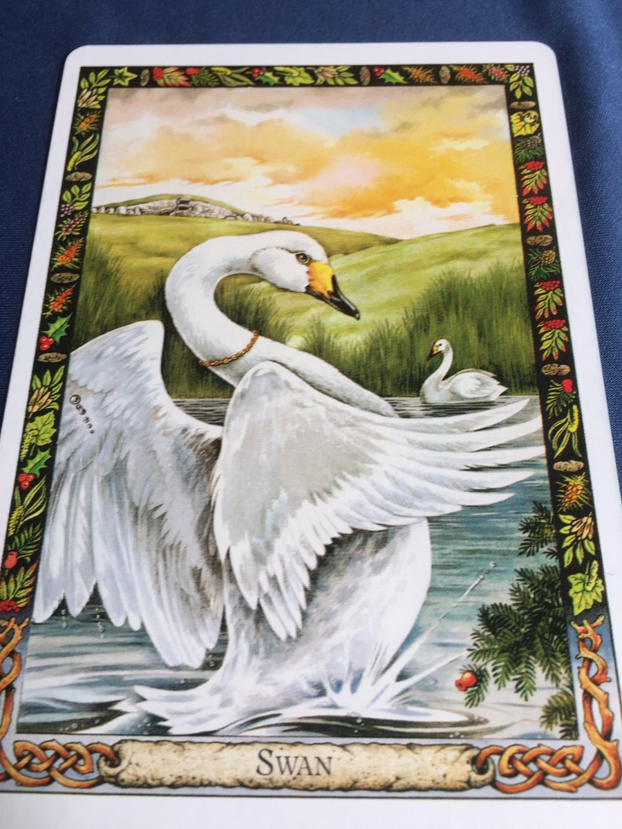 GhostQueenPara's tweet image. #DruidAnimalOracle ~ Soul, Love, Beauty