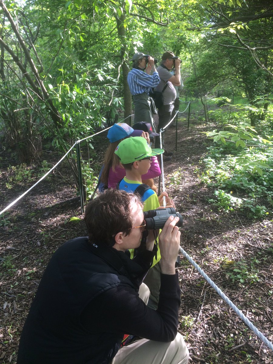 kidbirder's tweet photo. Group size for CONNECTICUT WARBLER in chicago😂 https://t.co/qBz2C8HPlz
