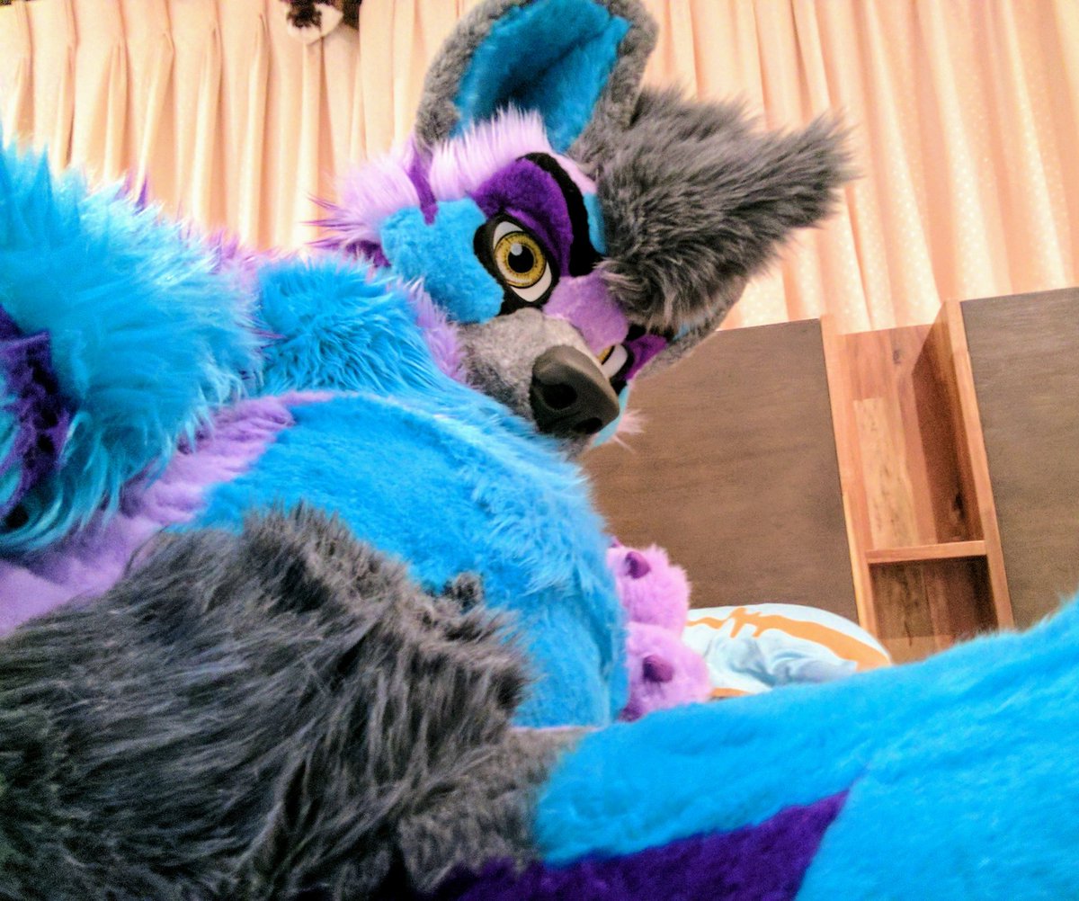 Captain_Otter's tweet photo. If he doesn't can there be an eye day???? https://t.co/KLQk3L330S
