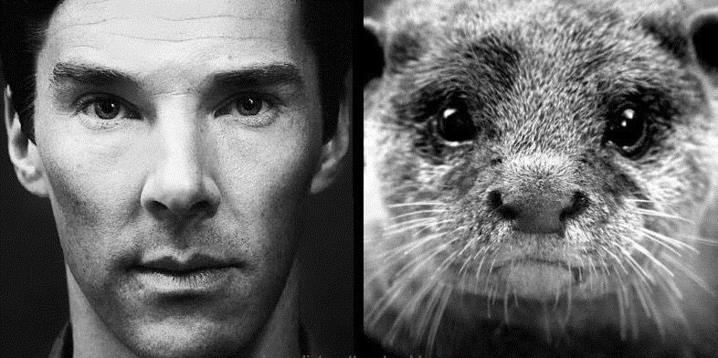 clara 👩🏻‍🔬 tweet media