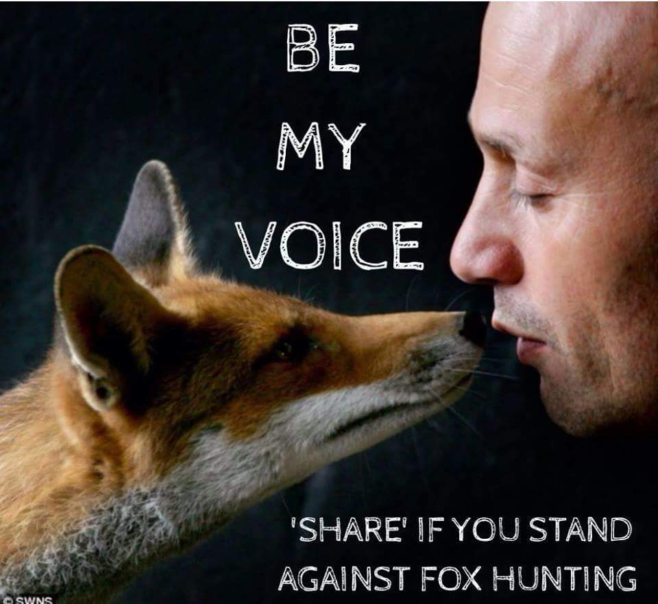 Protect_Wldlife's tweet photo. RT: Let's go through the roof with this! 🦊 What do we want??

To #KeepTheBan AND #EnforceTheBan https://t.co/ArveHeimE1