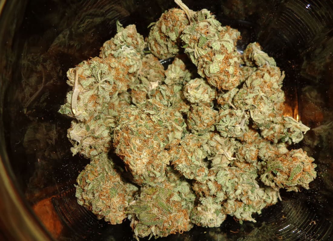 WorldOfSeeds's tweet photo. #ColombianGold nugs 
#PureOriginCollection #Landraces https://t.co/rB0zwXG3bQ