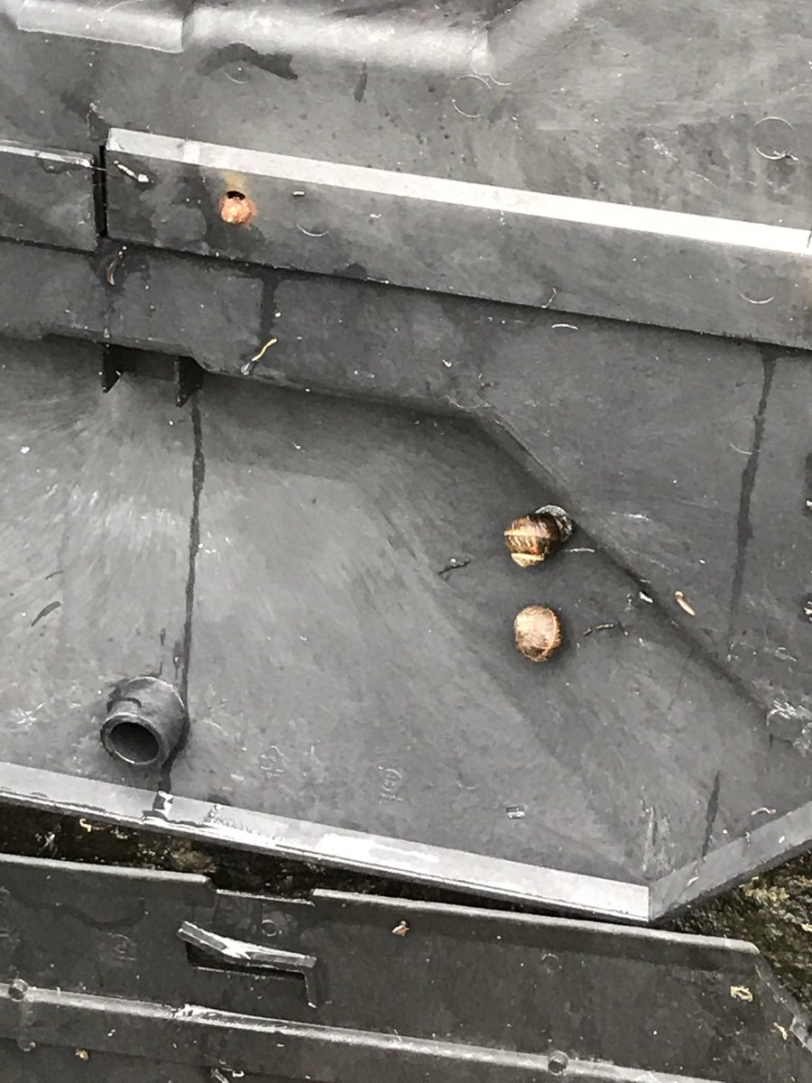 CCPPSchool's tweet photo. ππWhat might we find in here ? #ccpY34 #ccpscience @RSPBCymru π https://t.co/MLInWVqVQJ