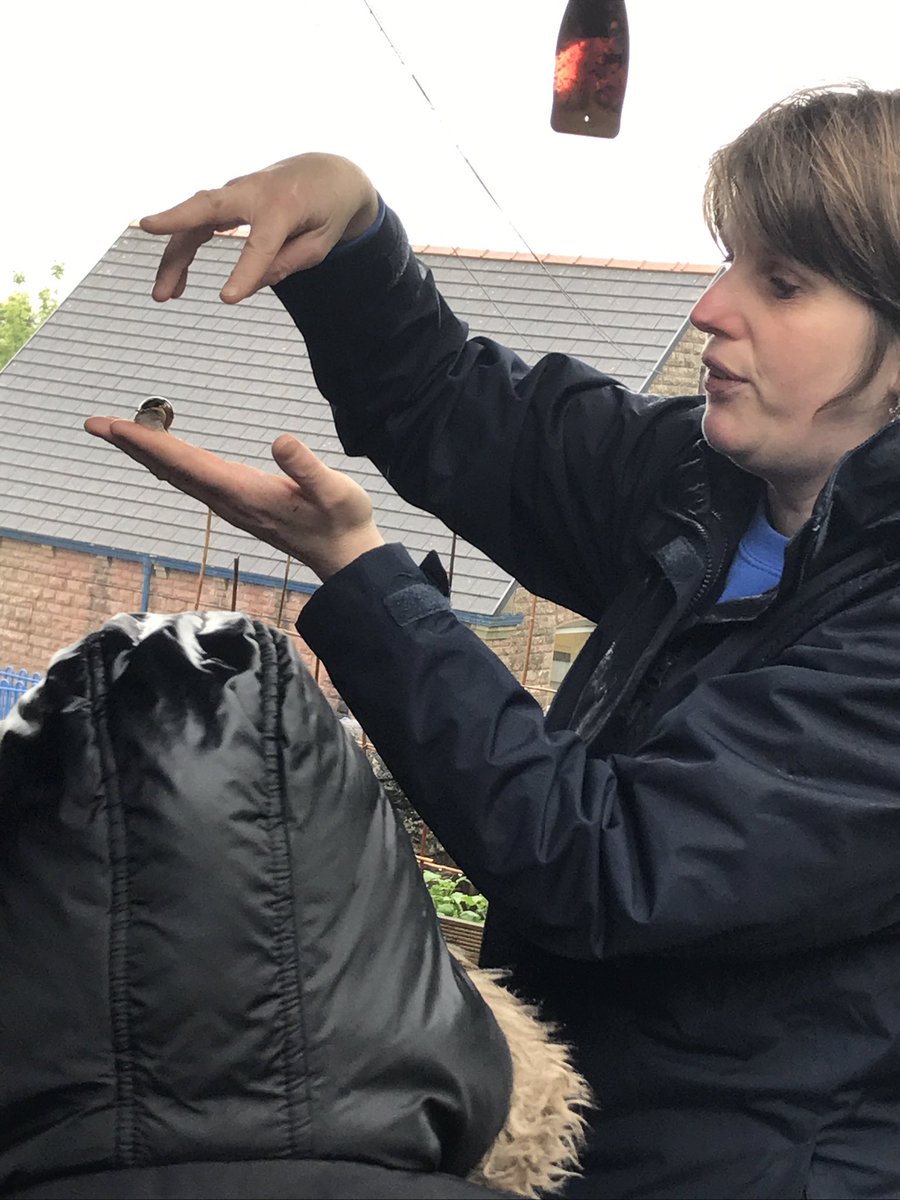 CCPPSchool's tweet photo. ππWhat might we find in here ? #ccpY34 #ccpscience @RSPBCymru π https://t.co/MLInWVqVQJ