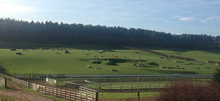 LWStables's tweet photo. After a busy few months moving yards, Lisa Williamson Racing is delighted to announce all training is now being undertaken @KelsallHillEque https://t.co/EtYO13MG77