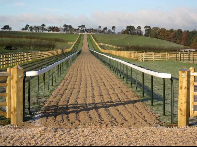 LWStables's tweet photo. After a busy few months moving yards, Lisa Williamson Racing is delighted to announce all training is now being undertaken @KelsallHillEque https://t.co/EtYO13MG77