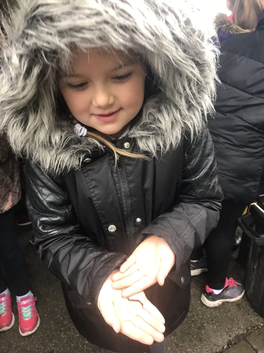 CCPPSchool's tweet photo. ππYou must always return the creatures to their natural habitat ππ@RSPBCymru #ccpY34 #ccpscience https://t.co/CwZsitWQBQ