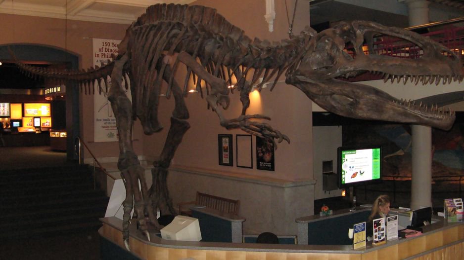 ThisDayInDinos's tweet photo. On this day in #dinosaurs, a South American super-predator is unveiled: https://t.co/zDTKXt6WtV #TDIDinos https://t.co/fxoFR0q1f1