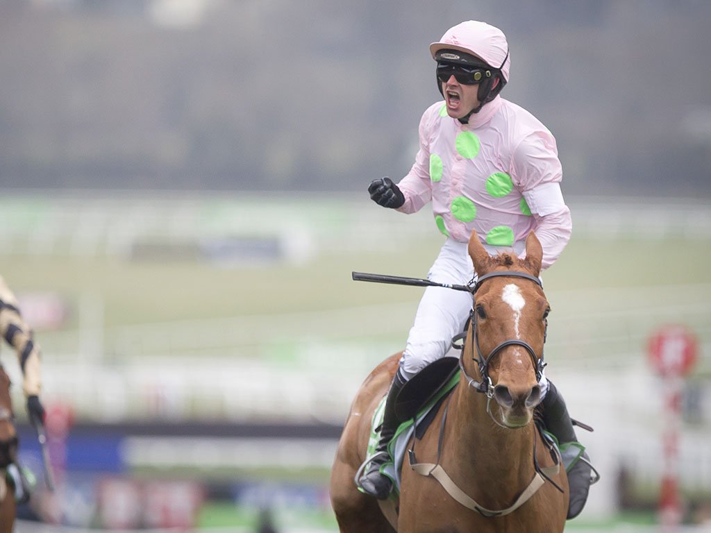 RacingPost's tweet photo. Brilliant Champion Hurdle winner Annie Power retired > https://t.co/j65eCYe1fN https://t.co/lg6ajxWgEU
