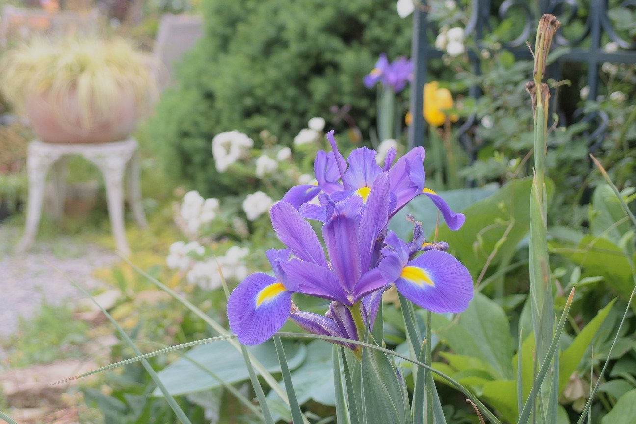 実野里フェイバリットガーデン Twitter Search Twitter