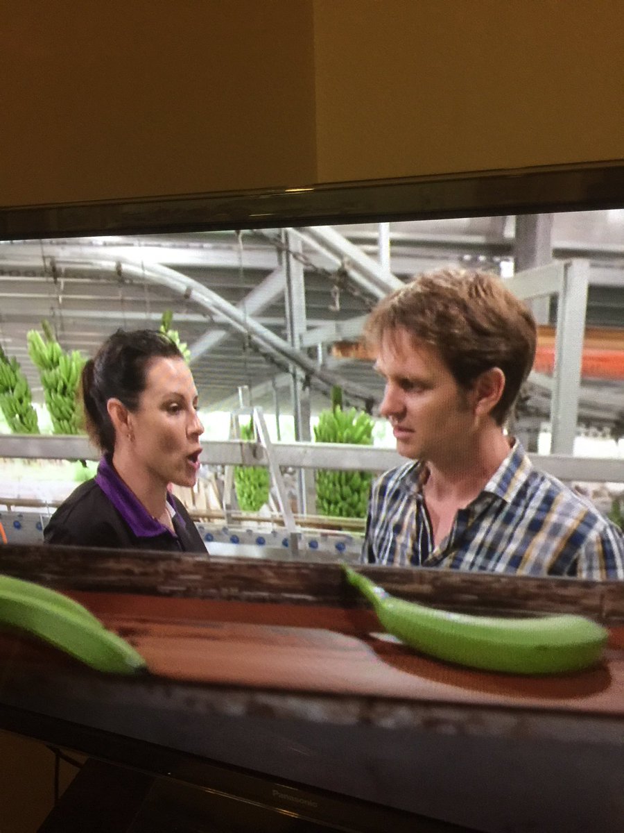 CostasGarden's tweet photo. Too fat too skinny too short too long millions of bananas thrown away 4purely  cosmetic reasons.Preset ideals need to change #WarOnWasteAU https://t.co/s3lyD2Bb2e