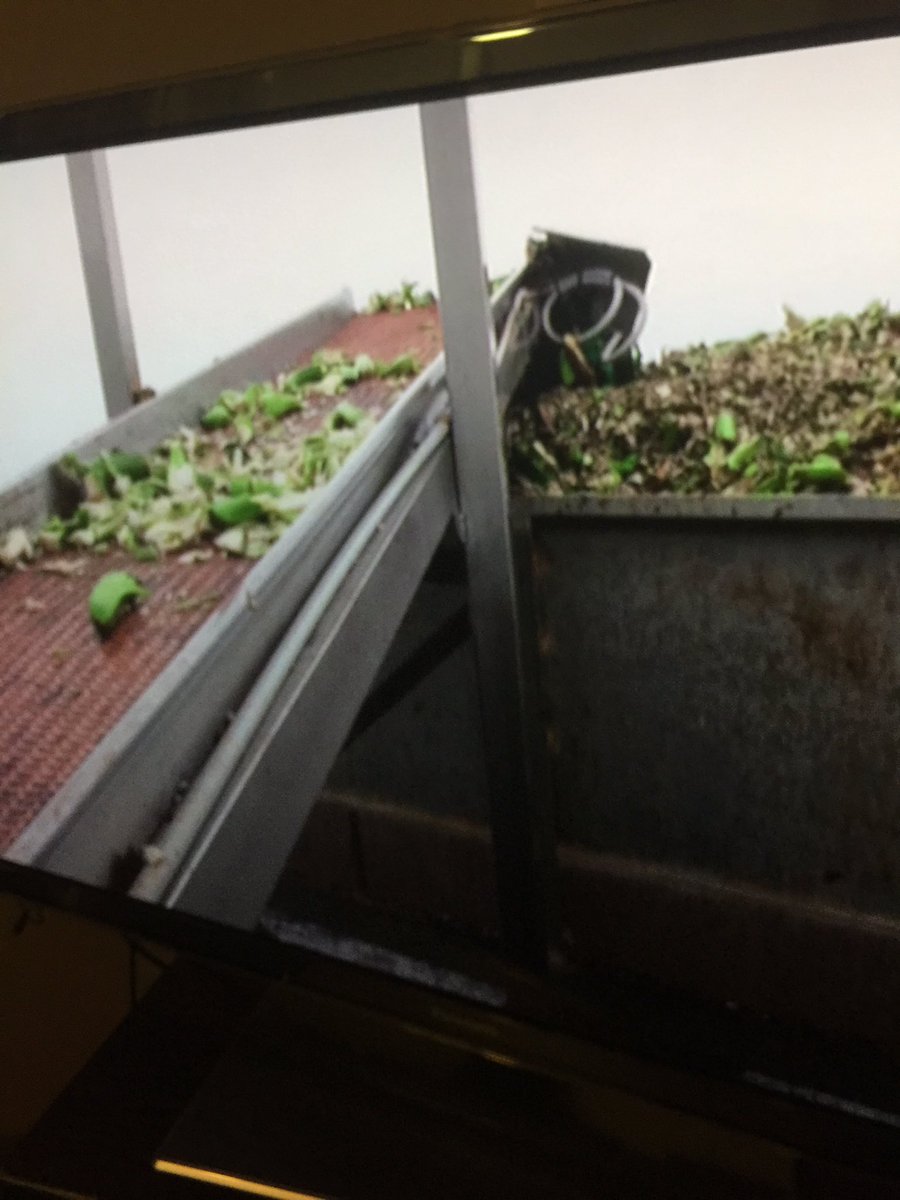 CostasGarden's tweet photo. Too fat too skinny too short too long millions of bananas thrown away 4purely  cosmetic reasons.Preset ideals need to change #WarOnWasteAU https://t.co/s3lyD2Bb2e