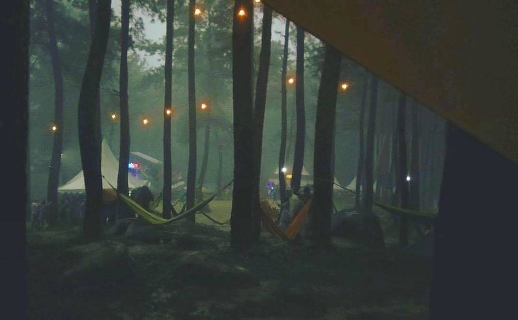 Selamat petang, selamat berjuang untuk mendapatkan sebuah kenyamanan yang kau idamkan.
Repost @ozandoremi
#melodialam
#hutanpinus
#gunungpa…