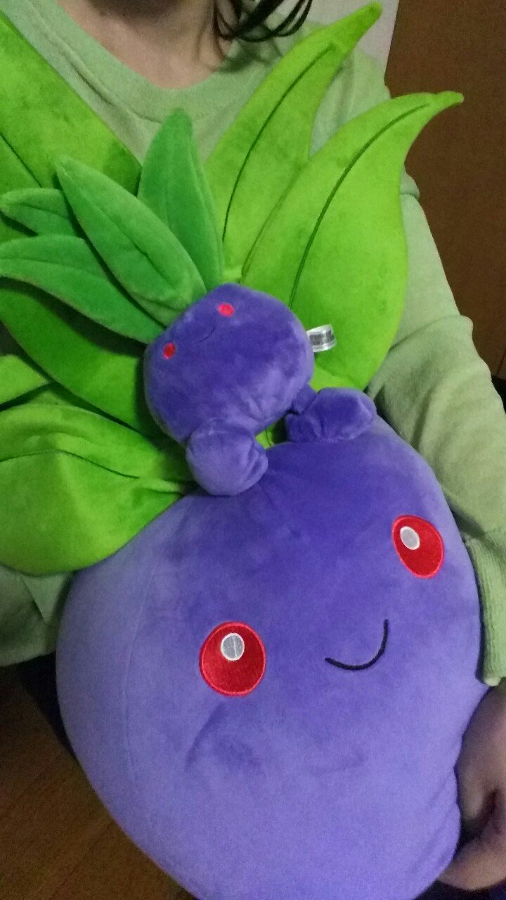 まとの Twitterissa 大きいナゾノクサと 草っぽい色の服が買えたので 前に買った小さいナゾノクサと記念撮影 抱き心地バツグンで 腕の中の収まりも良くて 本当幸せ 本物のナゾノクサの大きさが0 5mで このぬいぐるみが葉っぱ部分を入れて約0 6mだから