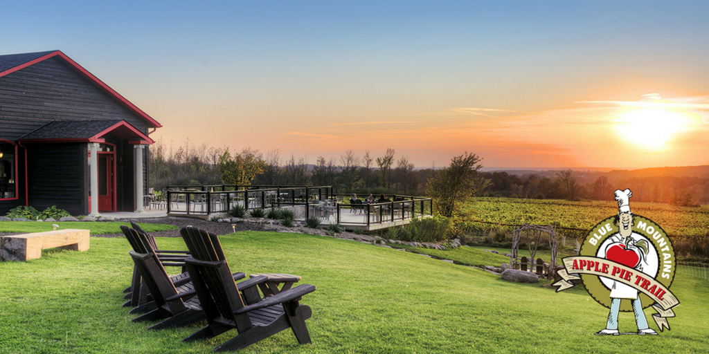 ApplePieTrail's tweet photo. Reason to Hop On The Apple Pie Trail: @coffinridge Beautiful scenery, vino &amp; more #HopOnTheApplePieTrail #winetasting https://t.co/KLWaYly1V7