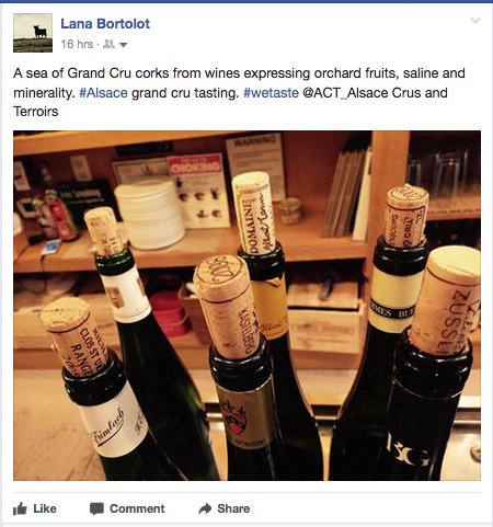 drinkAlsace's tweet photo. What we drank: #Riesling #Alsace @ACT_Alsace #AlsaceROCKS #Terroir #pureExpression @LBortolot https://t.co/rKD49WEdTz