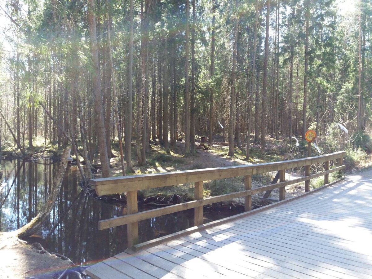 trailcup's tweet photo. Tänään Gopal-stage Suolijärven luonnonkauniissa järvimaisemassa, lähtö klo 18 ja ilmoittautuminen sitä ennen. https://t.co/niQon65TJS https://t.co/CatmU9d14h