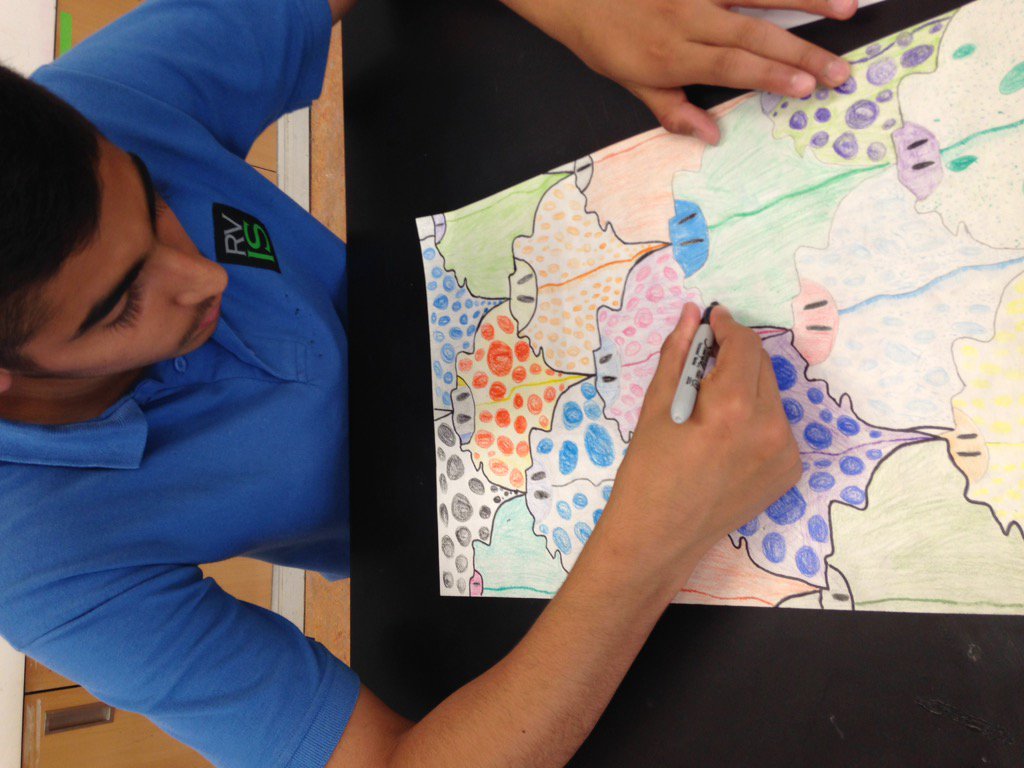 HMMeinen's tweet photo. #grade7art working on their #tessellations @rvis_bh #rvis_art #rvisionaries https://t.co/TIaFyP9jRM