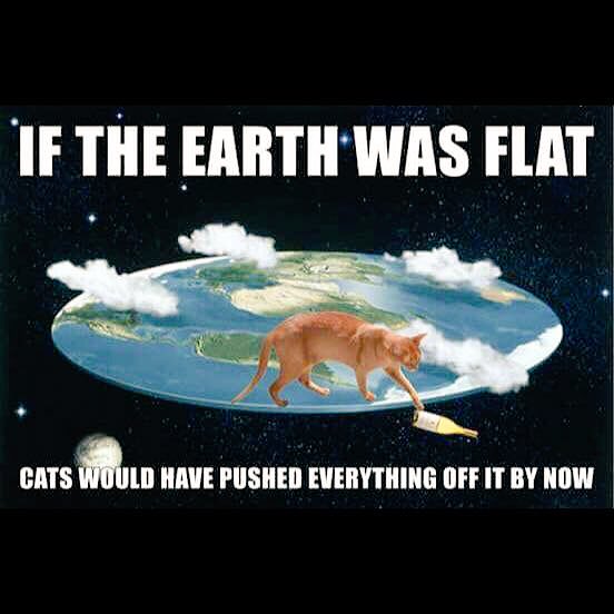 BarringtonMole's tweet image. So true 😽🌎
#CatsOfTwitter #TuesdayThoughts