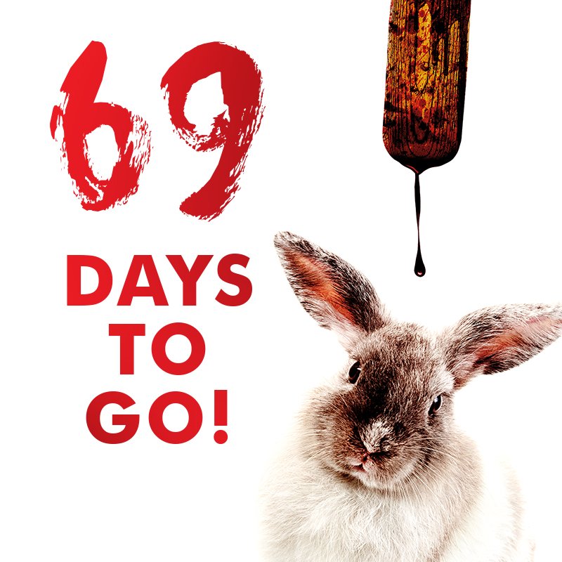 RabbitsThePlay's tweet photo. Everybody, strap in. 🐇🏏 https://t.co/3YWlQPil4H
