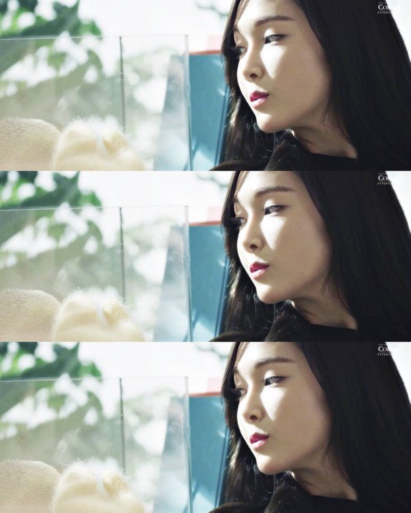 bester_er's tweet photo. Come Back พร้อม MV สองตัว 💖💖
~~ You Can Fly ~~ ☃️🌟
#LoveMeTheSame #JessicaJung #FlyWithJessica #WithLoveJ https://t.co/ew7hl4oxQE