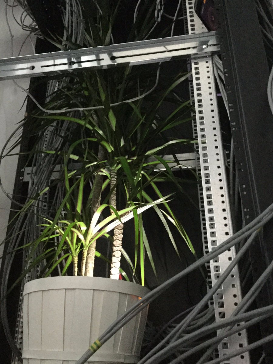 BohemiaPalmTree's tweet image. Bohemia Palms are readying official servers for the upcoming Arma3 Jets DLC