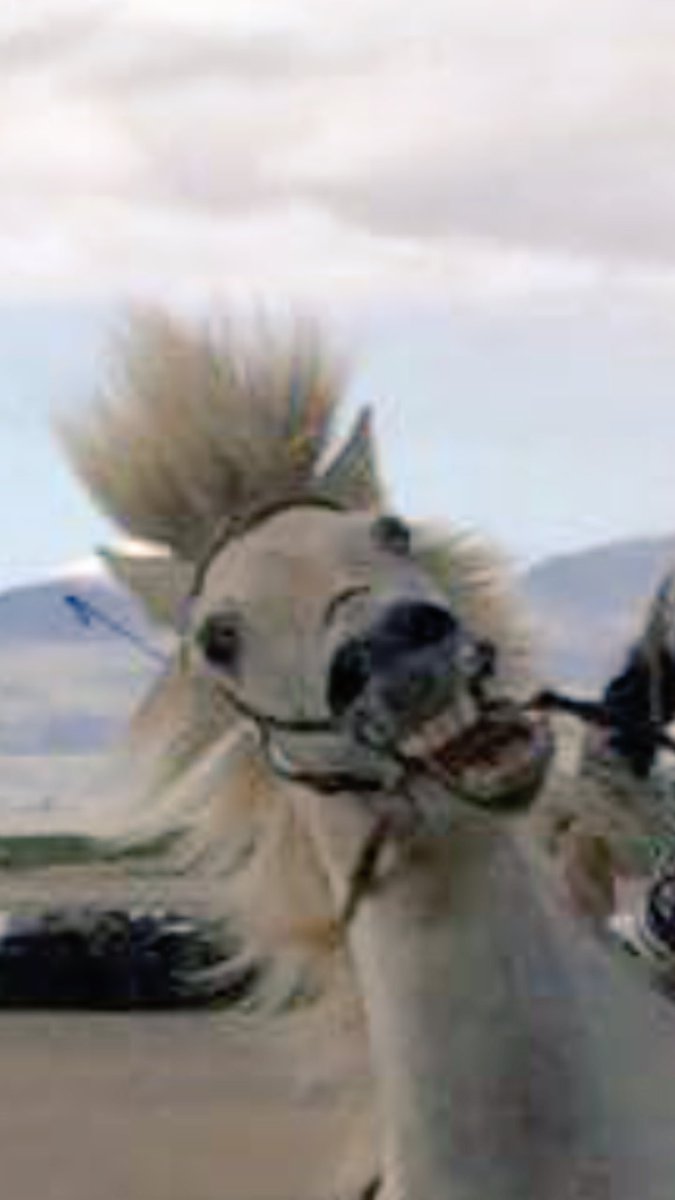 Haha var mamma mín bara að smella í bestu mynd í heimi