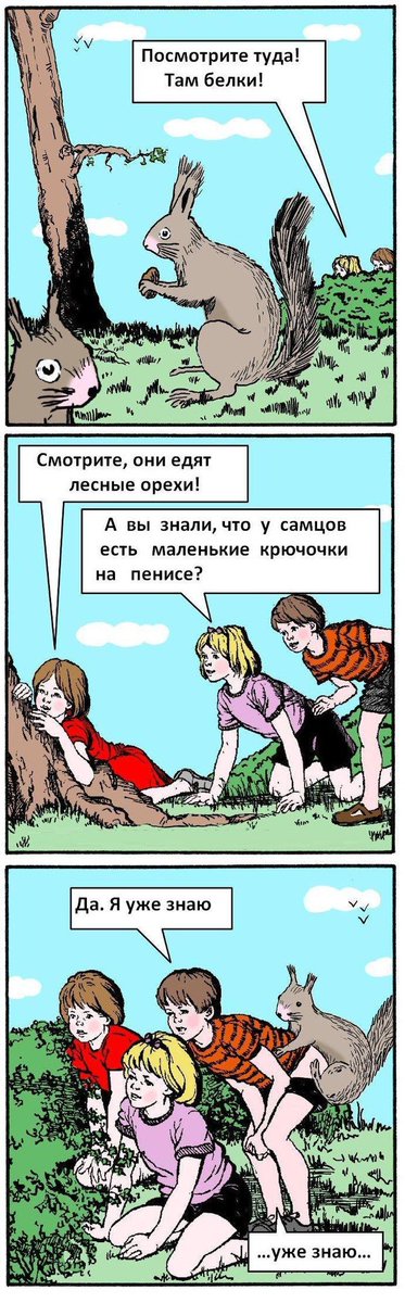 C_8rhmlUwAQz0Nl.jpg