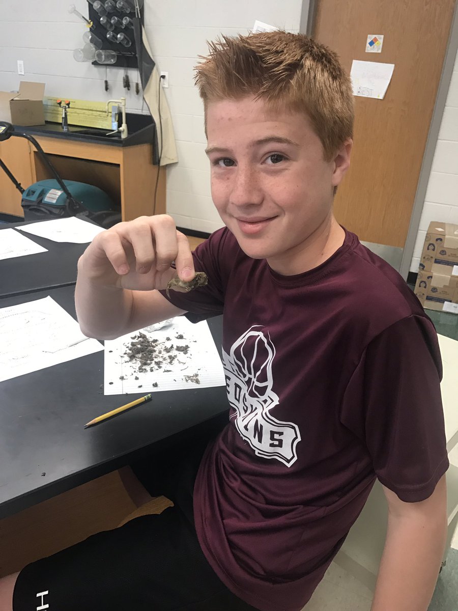 ScienceInSixth_'s tweet photo. It's a bird... it's a plane... no it's a rodent skull! Today we're dissecting owl pellets! #supercoolscience @KCS_Robinson https://t.co/qVTFlFyiD3
