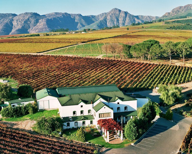 In the Western #Cape province, #Stellenbosch is at the heart of the #capetown #Winelands. waytuner.com/travel/top-5-t… #SouthAfrica #travel