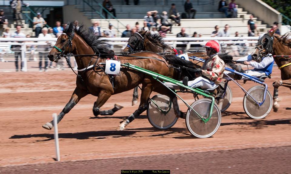 courseschevaux's tweet photo. #HIPPODROME DE CHARTRES
JEUDI 18 MAI 2017
RÉUNION #TROT #PREMIUM
AU PROGRAMME 9 #COURSES DE TROT
1ére COURSE A 16H40
#TOMBOLA + #ANIMATIONS https://t.co/juvnmVQMnh