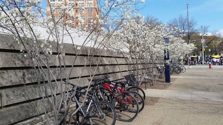 PittLibraries's tweet photo. Ride your bike to work? Or to do schoolwork at the library? Bike to Work day is Friday in Schenley Park @BikePGH https://t.co/HYoh1nBD7y https://t.co/J4epDRkfQp
