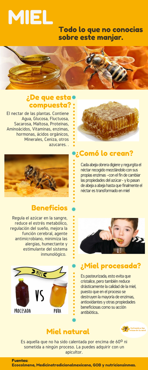 SalvandoAbejas's tweet photo. ¿Conoces todo sobre la #miel? https://t.co/ePdVVFJbuW